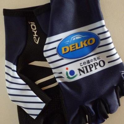 Gants aéros NIPPO-DELKO 2020 (taille M)