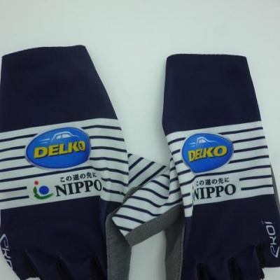 Gants NIPPO-DELKO 2020 (taille M)